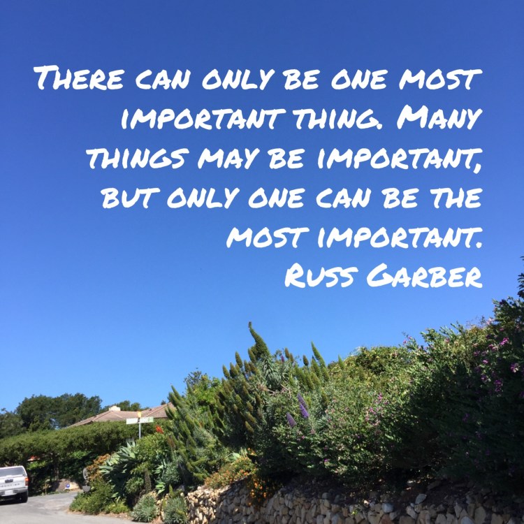 Most Important Image